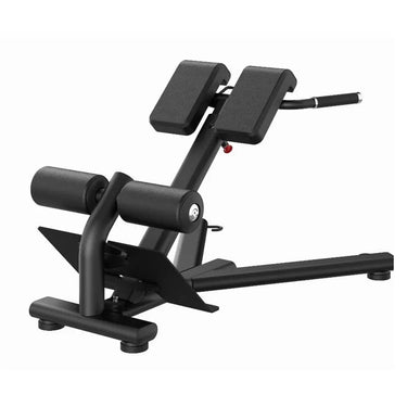 Insight Fitness Back Extension - DR010 with white background